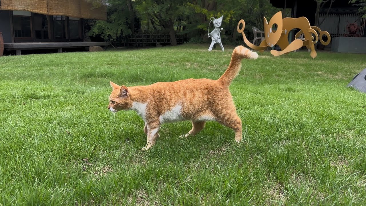 🐾 마츠야마 정원 미술관(마츠야마 테이엔 비쥬츠칸) 이미지 3